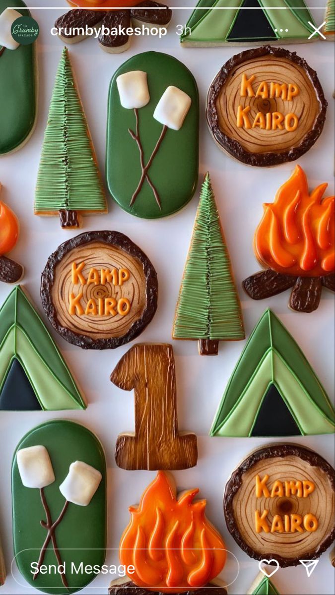 Whimsical Camping-Themed Colorful Cookie Designs Create a Festive Atmosphere for Celebrations.