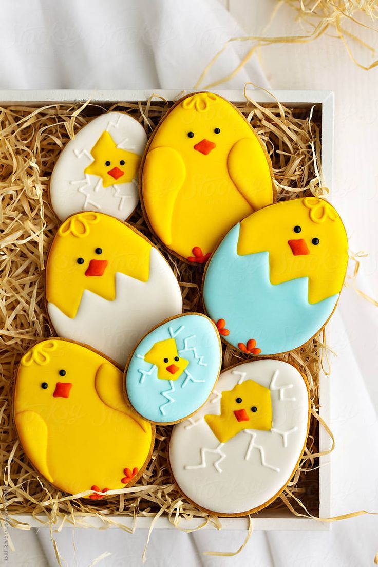 Vibrant Springtime Decorated Egg and Chick Cookies