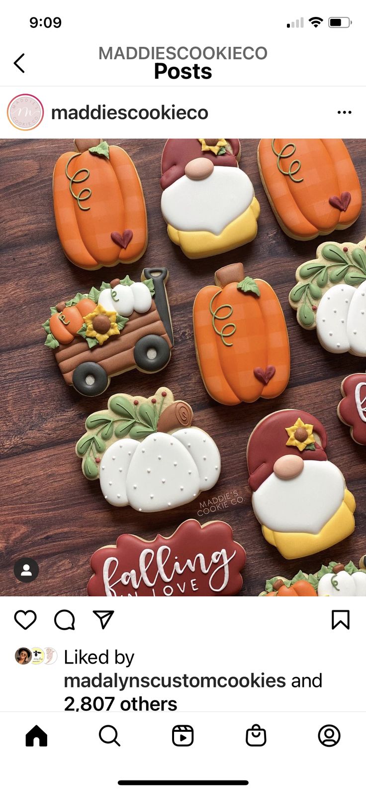 Whimsical Autumn-Themed Cookie Designs Featuring Pumpkins, Gnomes, and Festive Decorations.