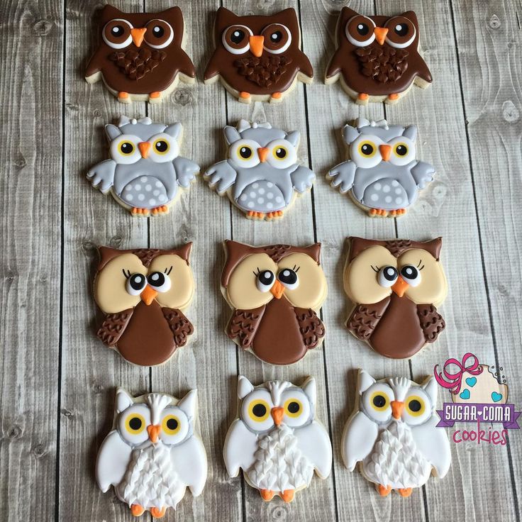 Charming Owl-Themed Cookies for Whimsical Celebrations.