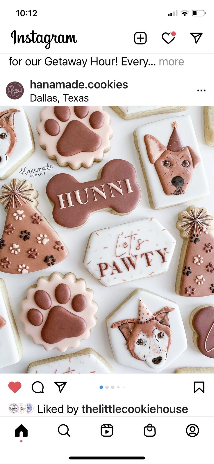 Playful Pet-Themed Decorative Cookies with Adorable Designs and Warm Colors.