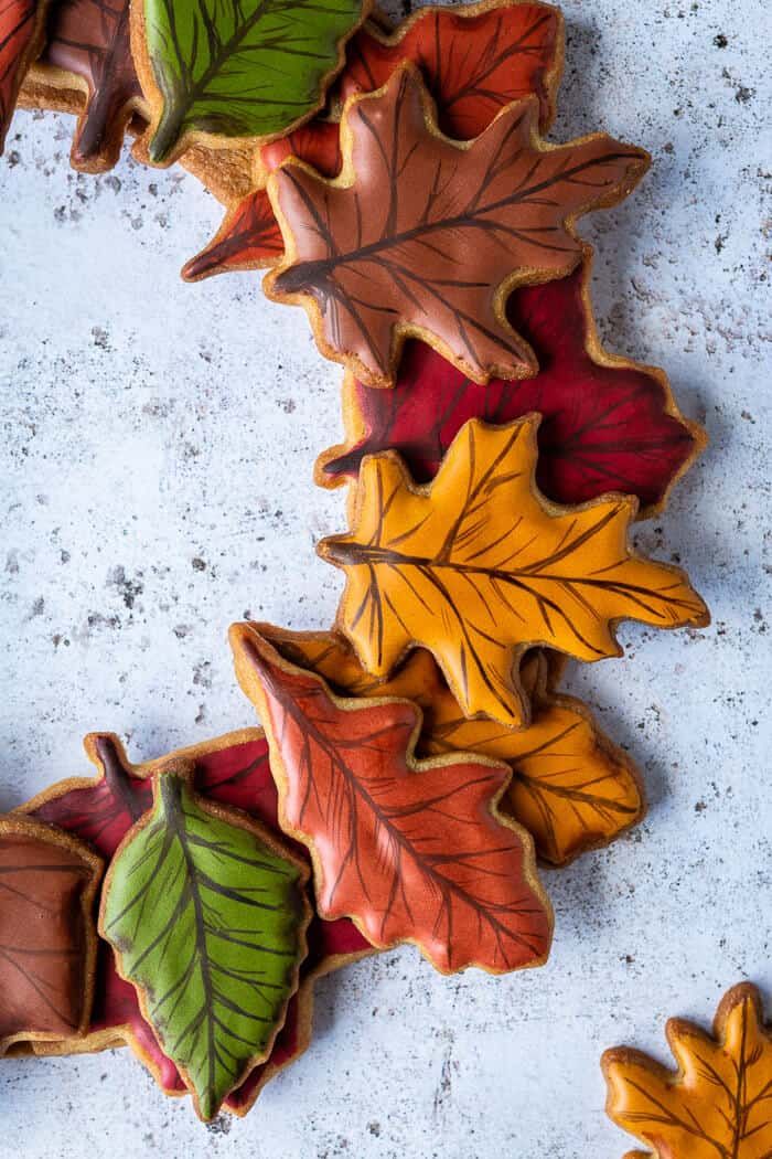 Vibrant Autumn Nail Design with Leaf Motifs and Rich Fall Colors.