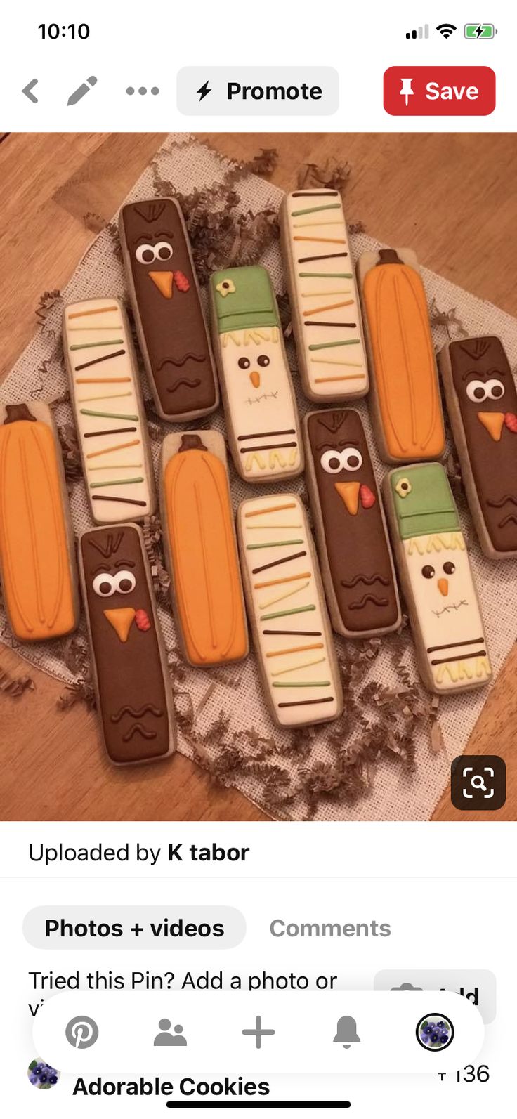 Autumn-Themed Festive Cookies: Vibrant Designs for Cozy Celebrations.