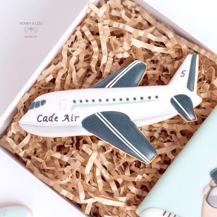 Sleek Airplane-Themed Cookies: A Creative Aviation-Inspired Treat in a Gift Box