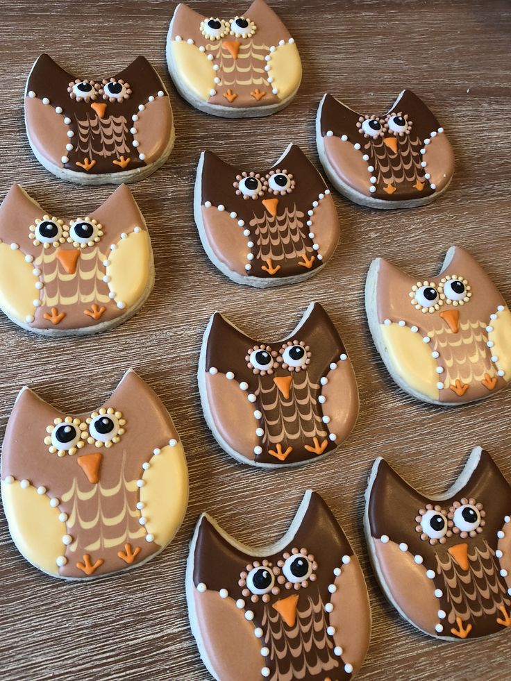 Enchanting Owl-Shaped Cookies: A Whimsical Blend of Color and Creativity.