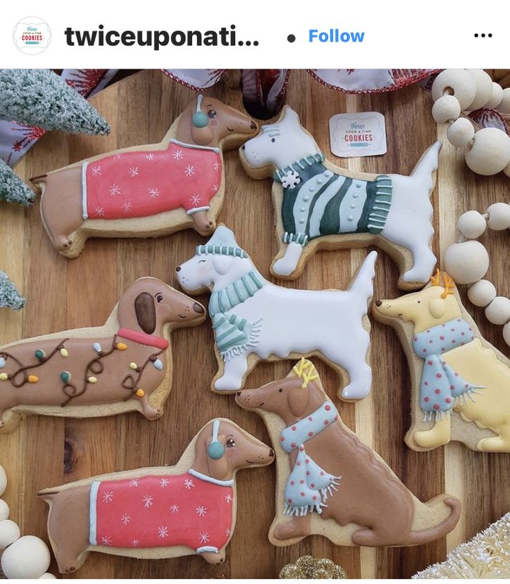 Festive Dog-Shaped Cookies Adorned in Unique Sweaters and Scarves.