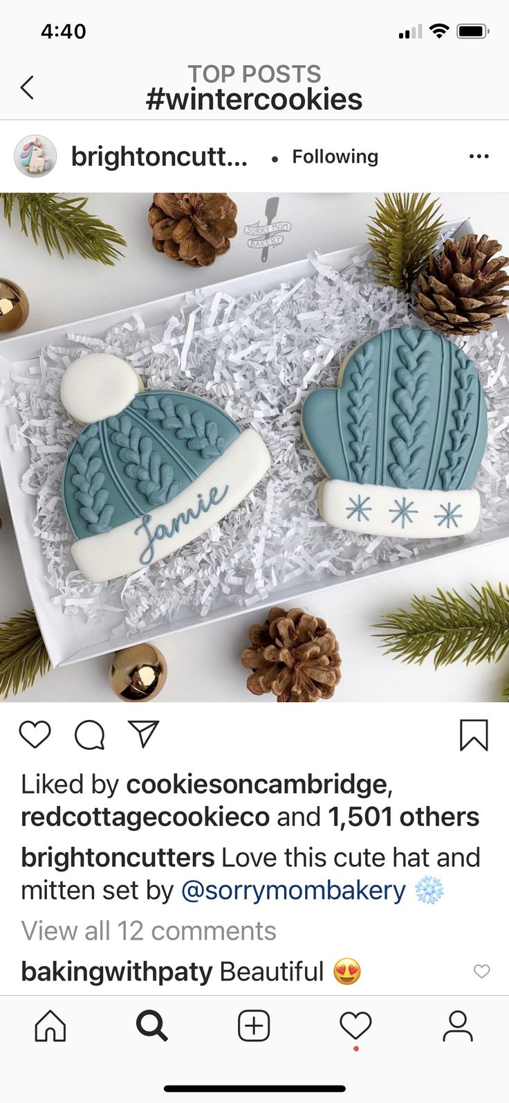 Charming Winter-Themed Cookie Set: Knitted Hat and Mitten Designs Perfect for Seasonal Celebrations