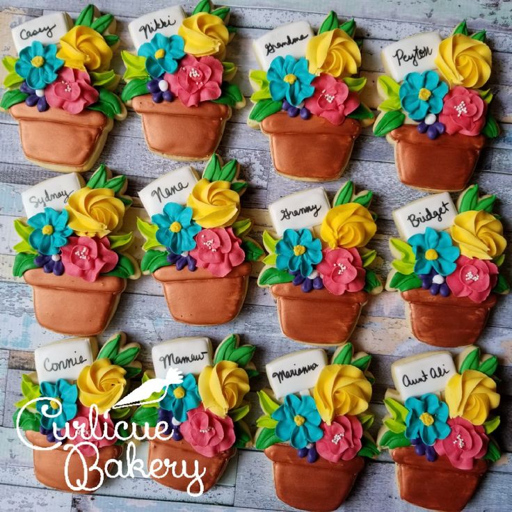 Charming Floral Cookies in Terracotta Pots with Personalized Icing Designs.