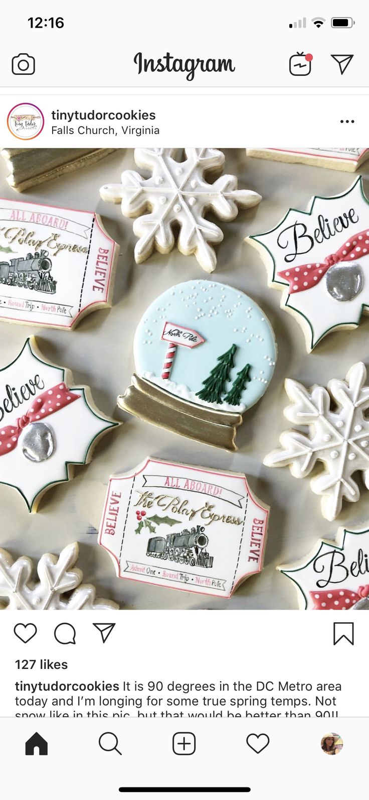 Whimsical Winter Themed Cookie Design with Frosty Colors and Festive Motifs