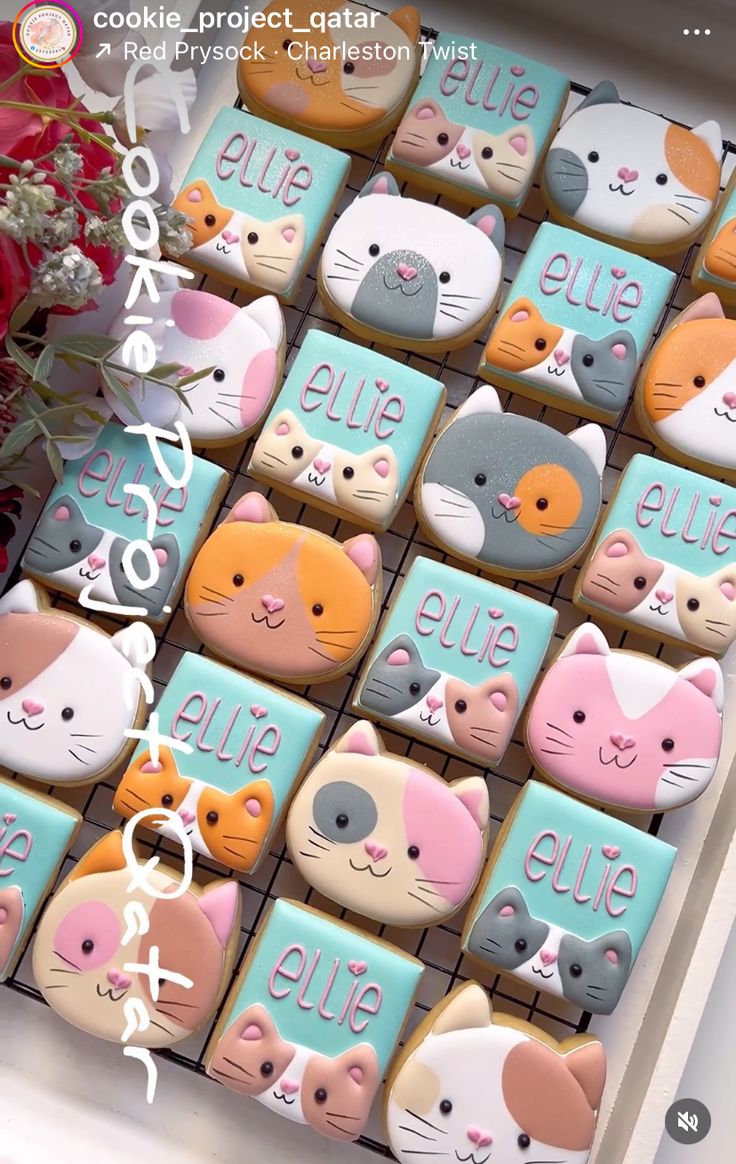 Charming Cat Face Cookies: Whimsical Designs for Themed Events.