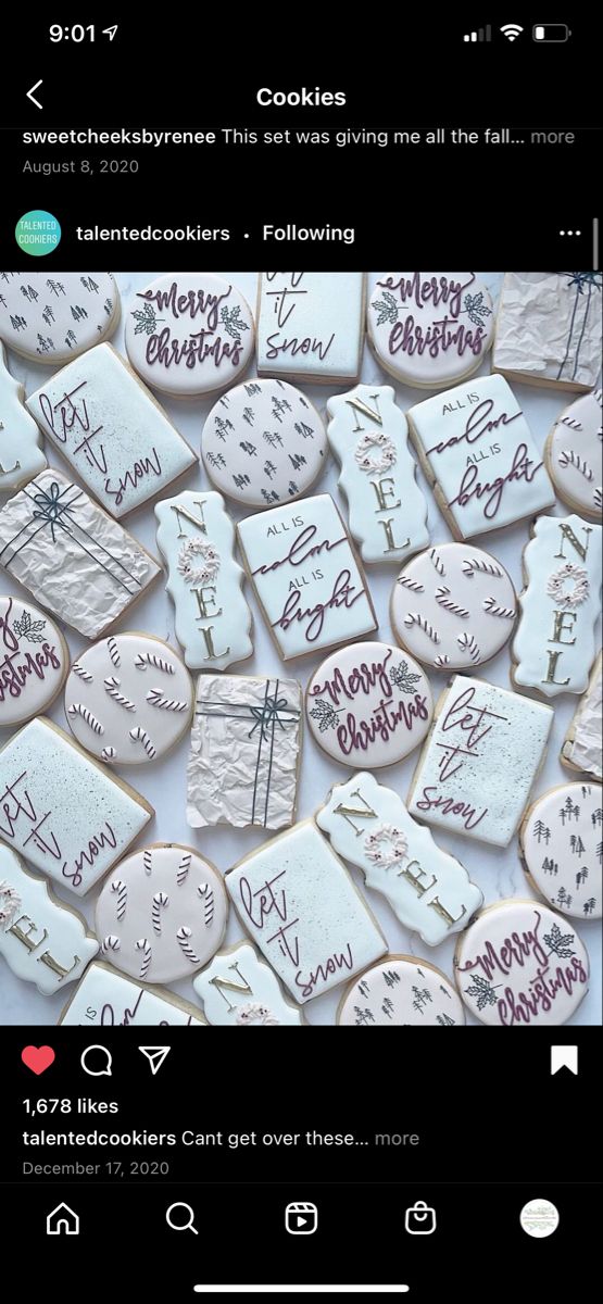 Aesthetic Winter Wonderland Cookies: Intricate Designs for Festive Celebrations.