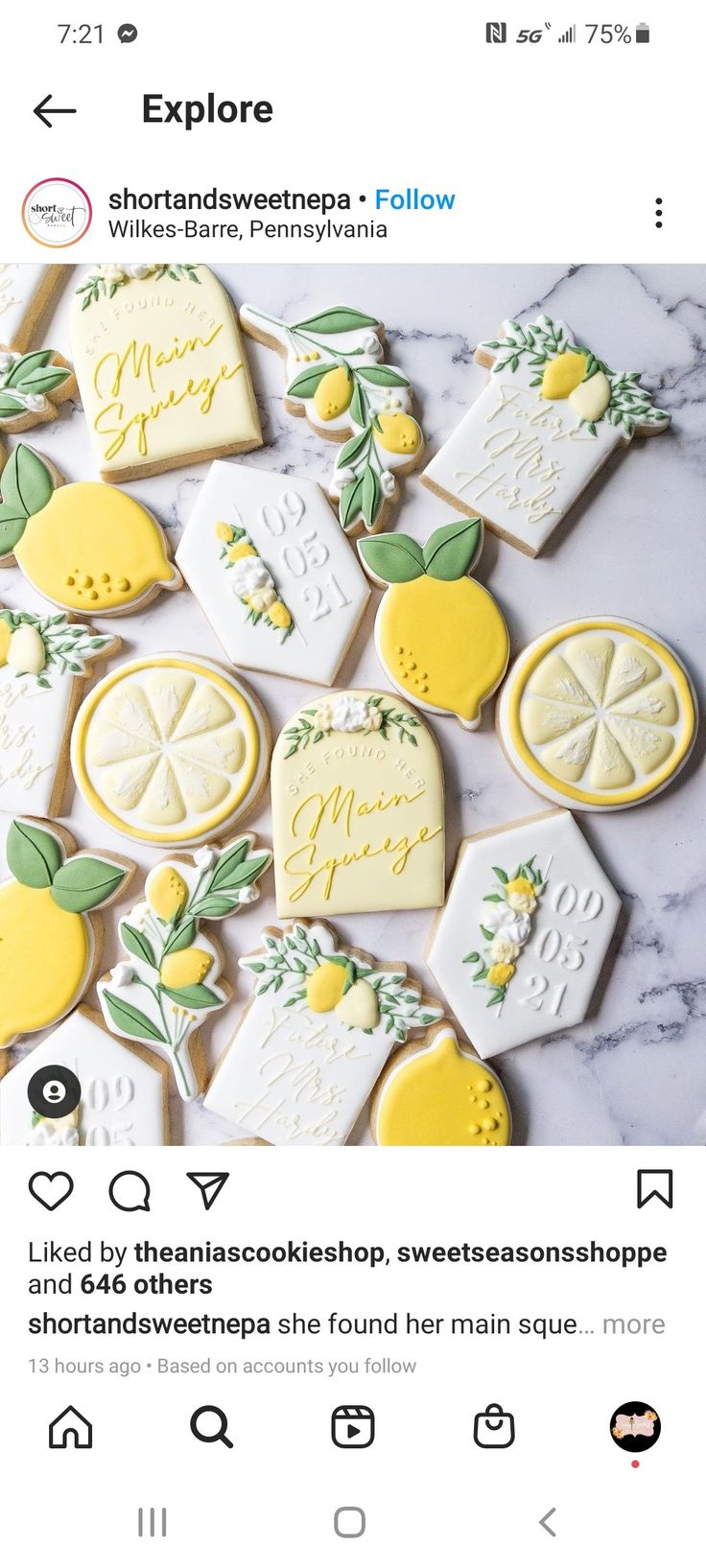 Vibrant Spring-Inspired Cookie Designs with Lemon and Floral Motifs