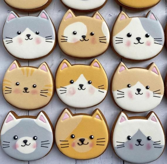 Charming Cat-Inspired Cookies with Whimsical Designs and Playful Colors