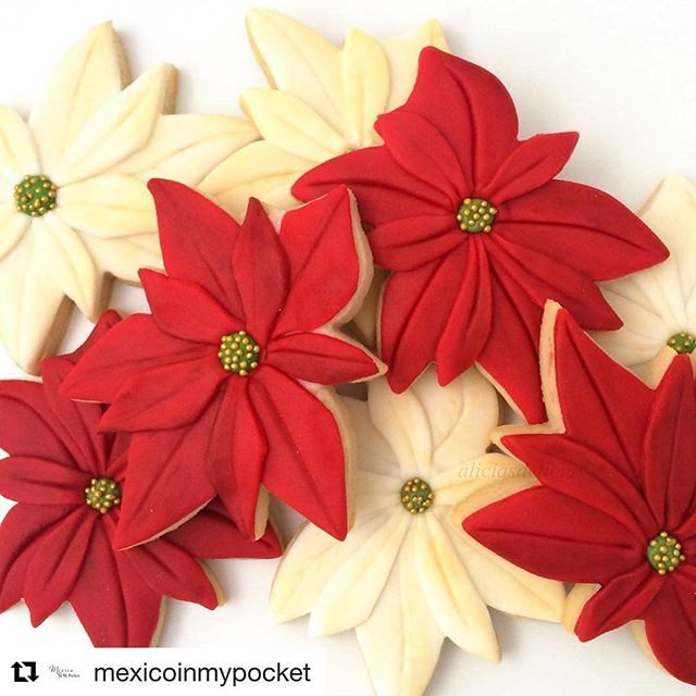 Elegant Floral Nail Art Inspiration with Vibrant Red and Soft White Poinsettias.