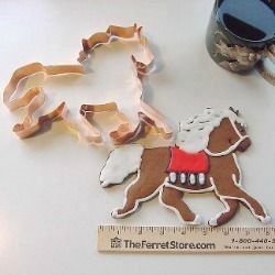 Equestrian-Themed Cookie Cutters and Decorated Trotting Horse Cookies for Festive Celebrations.