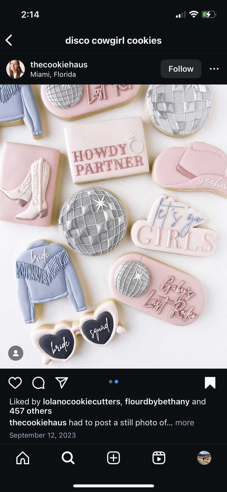 Playful Themed Decorative Cookies for Celebratory Events