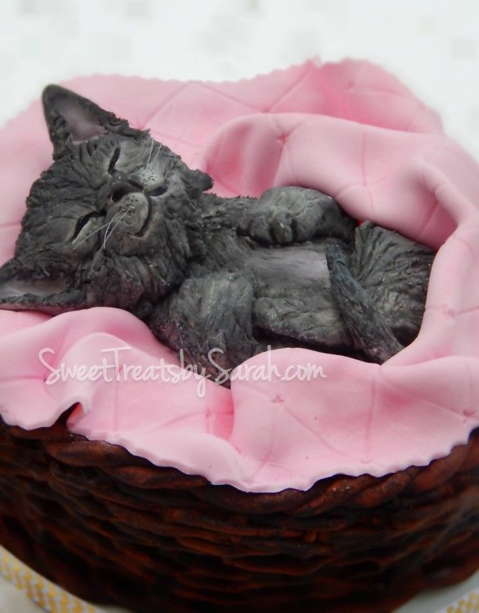 Charming Realistic Gray Kitten Design for Cat Lovers and Themed Desserts.